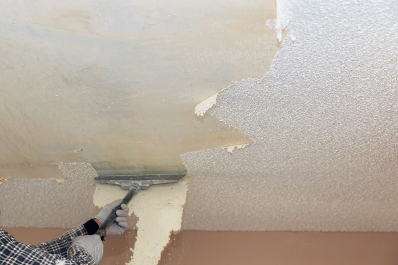 Stipple Ceiling Removal