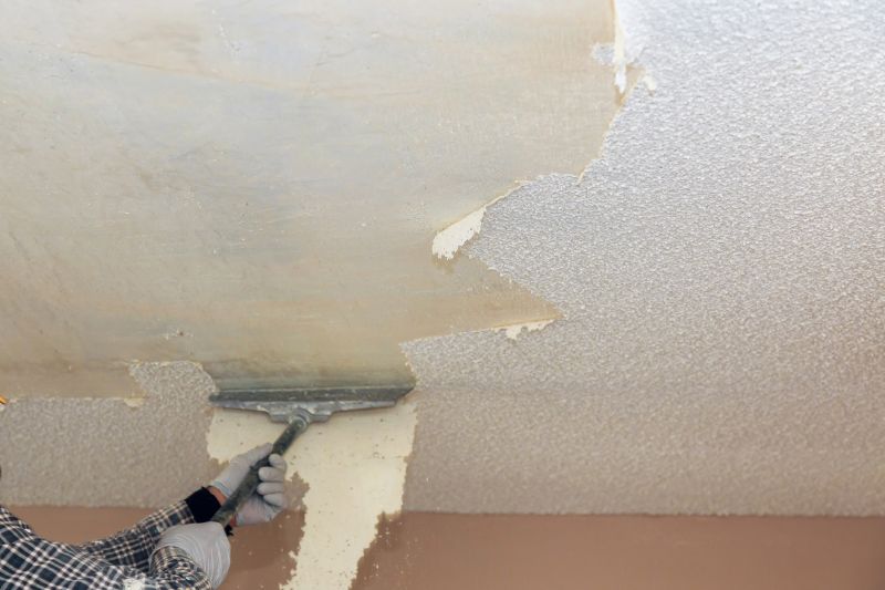 Products For Stipple Ceiling Removals in use