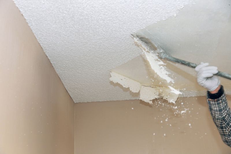 Stipple Ceiling Removal